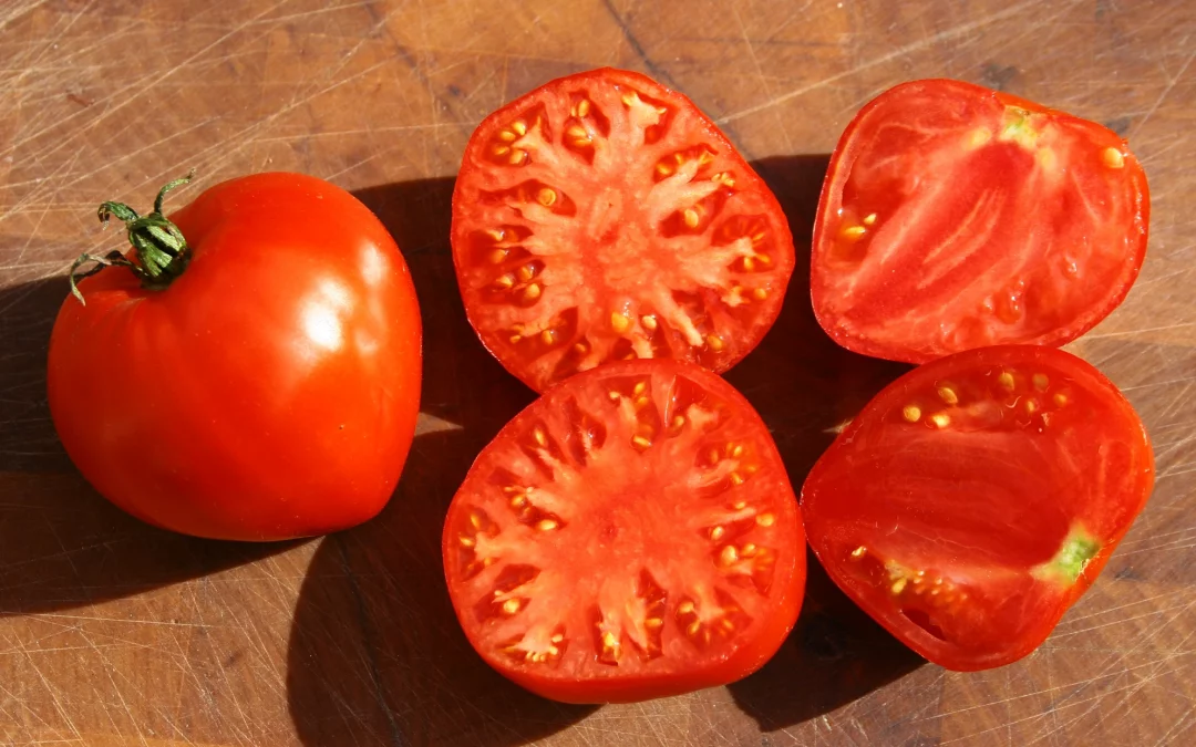 Coeur de Kangourou