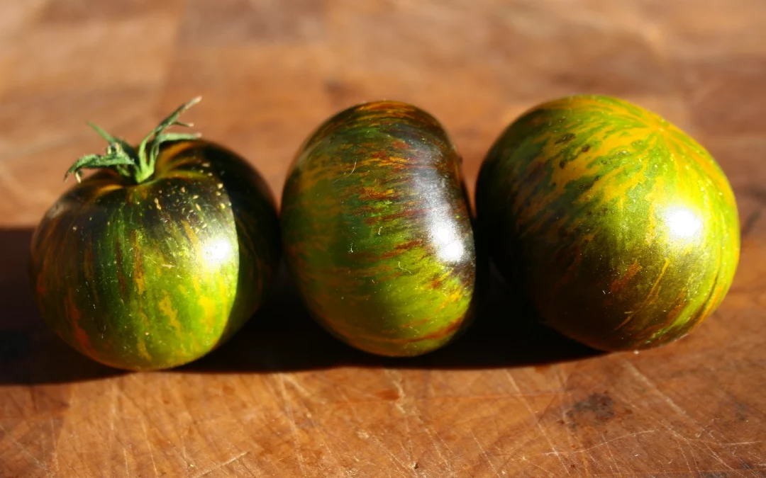 Xanadu Green Goddess