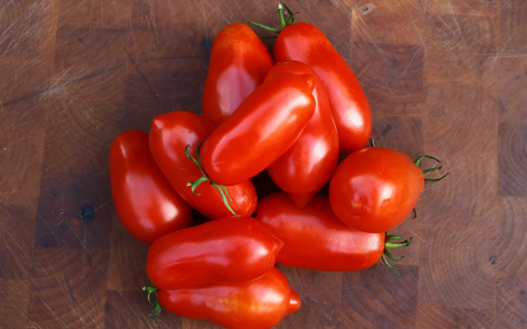 San Marzano 2